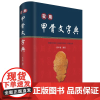 实用甲骨文字典 甲骨文小字典 陈年福 四川辞书出版社 精装版 甲骨文常用字字典
