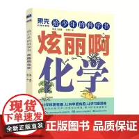 果壳 给少年的科学书 炫丽啊化学