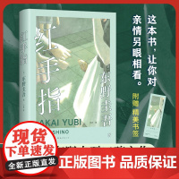 红手指(2024版) 东野圭吾 中国读者票选BEST10