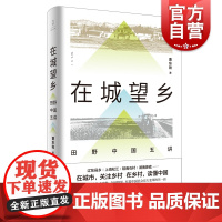 在城望乡田野中国五讲 曹东勃关注乡村读懂中国社会宏大变革城乡协调发展研究辽东松江皖南娄底 上海人民文景