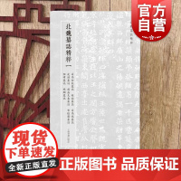 北朝墓志精粹一 司马金龙墓志赵谧墓志司马悦墓志皮演墓志赵盛夫妻墓志常敬兰墓志程暐墓志缑显墓志上海书画出版社 书法篆刻字帖