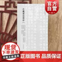 北朝墓志精粹一 司马金龙墓志赵谧墓志司马悦墓志皮演墓志赵盛夫妻墓志常敬兰墓志程暐墓志缑显墓志上海书画出版社 书法篆刻字帖