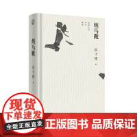 炖马靴短篇小说30年精选 迟子建广西师范大学出版社