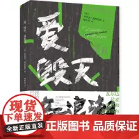爱、毁灭、新浪潮 法埃里克福托里诺广西师范大学出版社