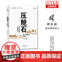 新民说 重新发现中国· 压舱石:面向未来的乡村建设 桂华/著 社会学 农民 乡村 土地制度 广西师范大学出版社