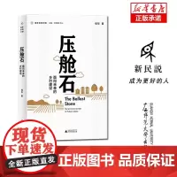 新民说 重新发现中国· 压舱石:面向未来的乡村建设 桂华/著 社会学 农民 乡村 土地制度 广西师范大学出版社