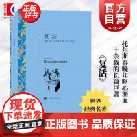 复活 译文名著精选 俄罗斯托尔斯泰著 安东 南风译 世界名著 外国文学小说书籍 外国名著经典读物 正版书 上海译文出版社