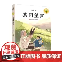 茶园笙声 刷刷阳光成长书系2024新作 聚焦非遗 书写乡村振兴