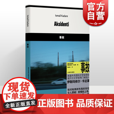 事故 伊斯玛依尔卡达莱上海译文出版社东欧布克国际文学奖巴尔干半岛诺贝尔调查文学安全交通事故侦探欧洲议会谜团阿尔巴尼亚爱情