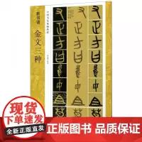 金文三种 毛公鼎/散氏盘/虢季子白盘 新书谱中国书法基础教程 金文大篆学习毛笔书法字帖 成人初学者入门技法练习高清临摹教
