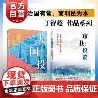 市县投资:下沉区域经济发展与投资逻辑/大国投资:时代赋能与区域经济均衡发展 于智超作品投资新视界丛书上海人民出版社经济理