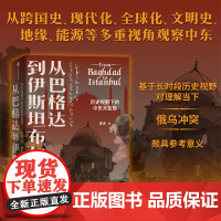 从巴格达到伊斯坦布尔 历史视野下的中东大变局 昝涛著 张信刚施展荐读 北京大学伊斯兰文明与现代世界通识课中信出版社