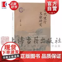 宋代使行文献研究 行记图记记行诗语录文体渊源研究王皓著上海古籍出版社宋代历史文学文献学史学理论正版图书籍