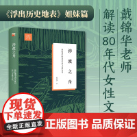 涉渡之舟:新时期中国女性写作与女性文化 戴锦华教授解读8