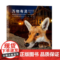 万物有灵国际野生生物摄影年赛第52届获奖作品 罗莎蒙德基德曼考克斯四川美术出版社