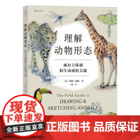 理解动物形态画出立体感和生动感的关键 蒂姆庞德四川美术出版社