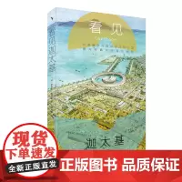 看见迦太基 近距离感受地中海风云争霸历史 启笛丛书