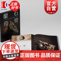 星石奇珍 上海天文馆藏精品陨石精选图册 银河系艺术指南上海书画出版社艺术鉴赏