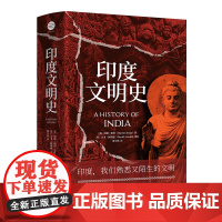 印度文明史(精)