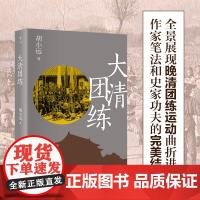 大清团练 看懂团练 看懂晚清何以走向民国