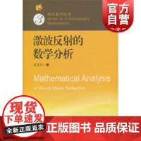 激波反射的数学分析(现代数学丛书) 陈恕行 著 物理学专业科技 上海科学技术出版社