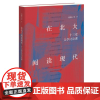 在北大阅读现代:十三堂文学讨论课