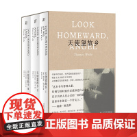 天使望故乡 全3册 托马斯沃尔夫著 函盒典藏文库本 一頁folio书系 翻译家宋碧云译本 从凯鲁亚克到 罗斯外国小说书籍
