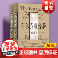 布尔乔亚经验2:黑衣爱神 彼得盖伊世纪文景世界史文化史社会学中产阶级的爱情观激情 另有布尔乔亚经验1感官生活
