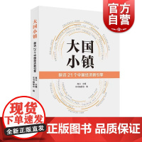 大国小镇--探访21个中国经济新引擎 高兴 著上海人民出版社收录20个特色小镇在中国改革开放和经济腾飞过程中不懈奋斗的小