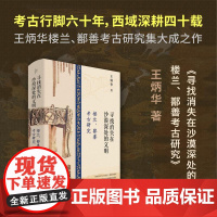 寻找消失在沙漠深处的文明楼兰、鄯善考古研究 王炳华广西师范大学出版社