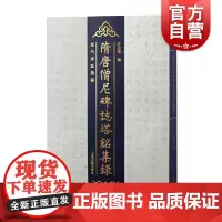 隋唐僧尼碑志塔铭集录 介永强编作品历代碑志汇编佛教文史上海古籍出版社正版书籍西北历史文化地理研究隋唐佛教文化史论