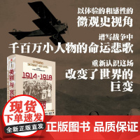 美丽与哀愁 第一次世界大战个人史 非虚构文学作品瑞典皮特恩格伦中信出版社第一次世界大战战史战争纪实正版图书籍