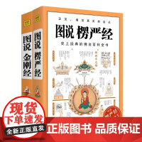 图说金刚经+图说楞严经 共2册