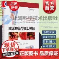 喉返神经与喉上神经 格雷戈里W伦道夫上海科学技术出版社剖析喉返神经与喉上神经术中保护甲状腺外科头颈外科耳鼻咽喉科内分泌科