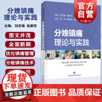 分娩镇痛理论与实践 妇产科学实用麻醉科医师优秀参考医学读物上海科学技术出版社临床医学疼痛治疗