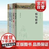 病句精讲/语法修辞例话/标点百诊/词误百析/高频别字300例 字斟句酌丛书上海教育出版社