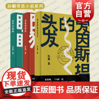 拍卖师阿独/爱因斯坦的头发/哲学的瞌睡 孙颙奇思小说系列上海文艺出版社当代文学作品集另著雪庐/漂移者/缥缈的峰/思维八卦
