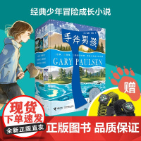 手斧男孩系列(全6册)赠手链 经典少年冒险成长小说 获纽