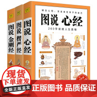 共3册 图说金刚经+心经+楞严经 全套经典图解版文白对照 佛经佛学书籍初学者入门 经典十三经原文解释 经书禅修经文 读本