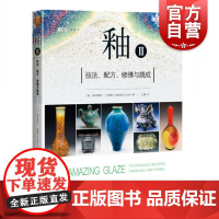 釉I技法配方修缮与烧成灵感工匠系列 美籍作者加布里埃尔克莱恩著王霞译 轻纺专业科技丛书 上海科学技术出版社