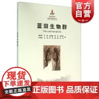 蓝田生物群/中国古生物研究丛书 袁训来 生物群化石和地质剖面 中国古生物研究丛书 科学专著 自然科学 上海科技 世纪出版