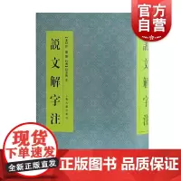 说文解字注 中国文化语言工具书分析研究 字体解析 (清)段玉裁 著 许慎撰 工具书 语言文字 正版图书籍 上海古籍出版社
