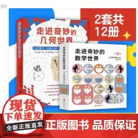 [全2辑]走进奇妙的数学世界+走进奇妙的几何世界