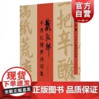 戴敦邦手录红楼梦诗词集 书法赏析 八旬中国国画大师虔心手录 汉字化的《红楼梦》画册 上海人民 世纪出版