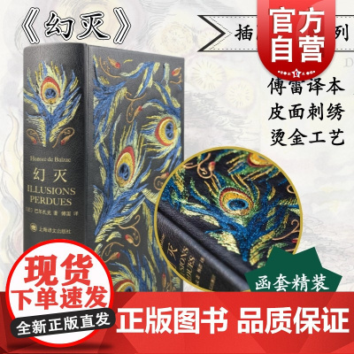 幻灭:插图珍藏本 傅雷译本现代法国小说之父巴尔扎克著长篇小说代表作上海译文出版社资本主义社会百科全书 法国文学外国小说