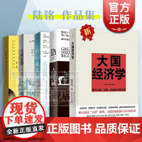 大国经济学/大国大城/向心城市/空间的力量:地理政治与城市发展第3版/大国大城 陆铭作品城市观念世纪文景中国城市的未来经