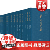 章太炎全集全二十册 国学传统文化政治活动学术思想 上海人民出版社中国文化