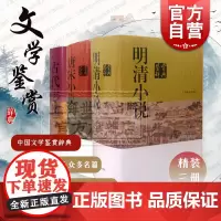 明清小说鉴赏辞典/古代志怪小说鉴赏辞典/唐宋小说鉴赏辞典 中国文学鉴赏辞典新一版上海辞书出版社系列另有微型小说鉴赏辞典