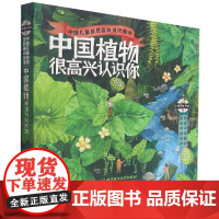 中国植物很高兴认识你全4册中国儿童自然百科通识绘本5-12岁儿童科普启蒙绘本 春夏秋冬图鉴 地理乡土动物生物知识科普启蒙