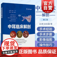 中耳临床解剖 上海科学技术出版社手术经验解剖基础中耳显微及内镜手术步骤中耳临床解剖学参考书